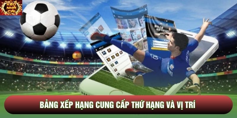 Bảng xếp hạng cung cấp thứ hạng và vị trí